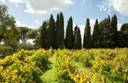 Villa Titì - Foto 8