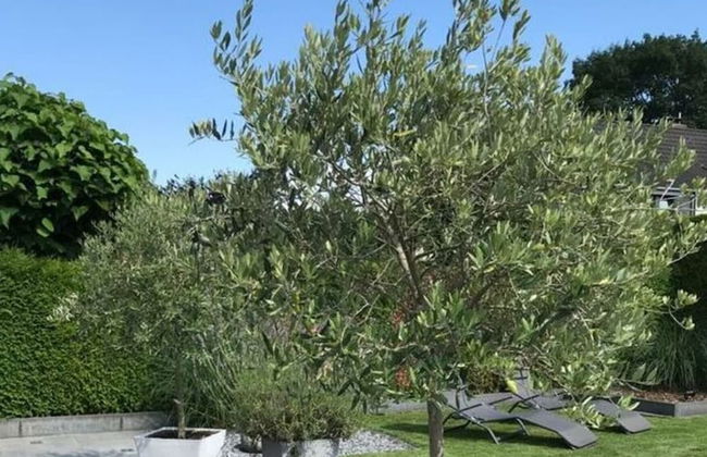 Holiday Apartment Summer Breeze - Foto 29