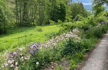 Urlaub mit der ganzen Familie im Ferienhaus in der Natur - Foto 4