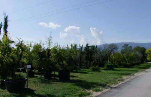 Agriturismo L'Acero Rosso - Foto 78