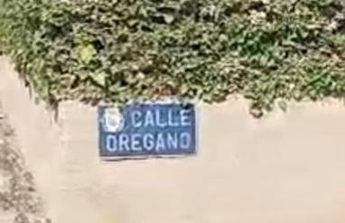 Villa Oregano Oasis Stunning Villa with own heated pool - Foto 47