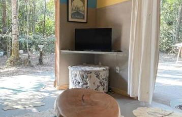 Bosque na Montanha Encantada - Foto 32