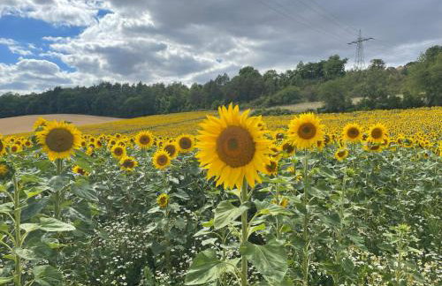 Ferienwohnung Altes Rathaus - Foto 24