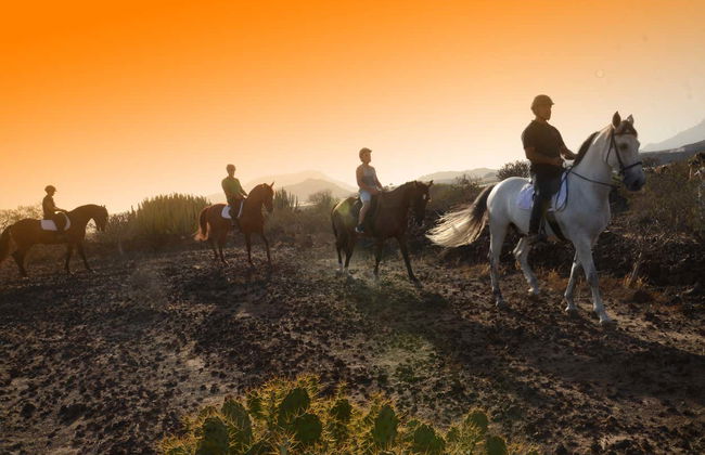 Passeggiata a cavallo nel sud di Tenerife - Foto 3