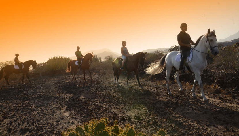 Southern Tenerife Horseback Ride - Photo 3