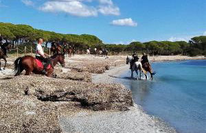 Casa Vacanze Diaz - Foto 26