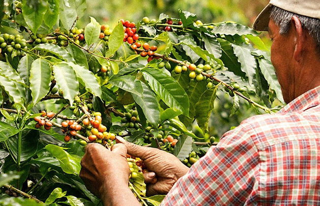 Destino Hotel & Hot Springs Day Pass - Foto 10