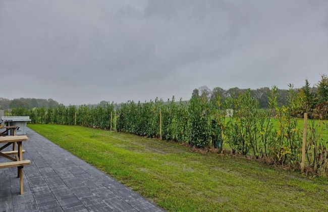 Chalet by Park Pond in the Netherlands - Photo 36