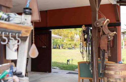 Tampa Bay Oasis - Foto 18