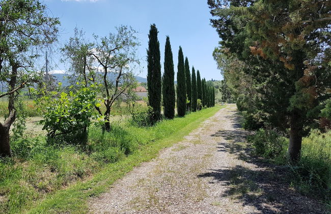 Agriturismo Bio 4 Stagioni - Foto 43