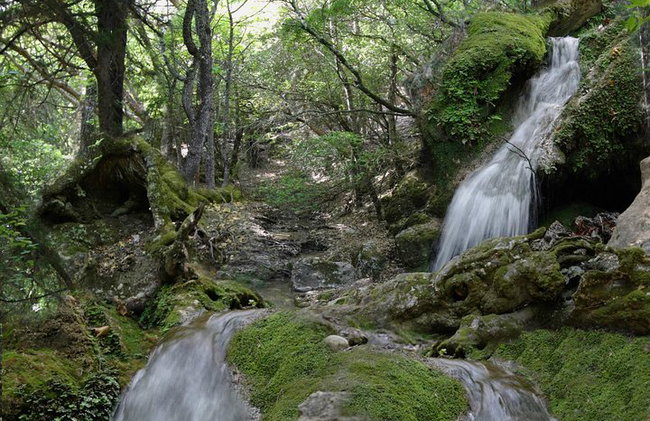 Vallée des papillons et vin, huile d'olive, visite de dégustation de miel (petit groupe) - Photo 10