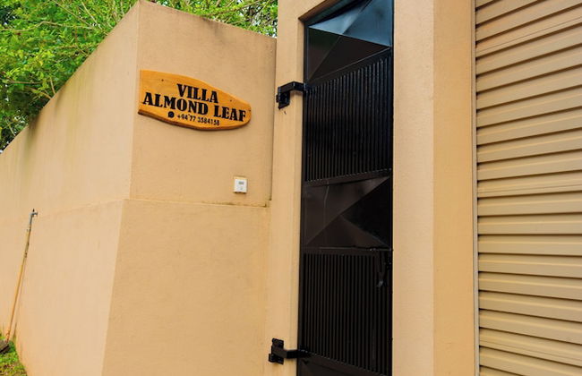 Villa Almond Leaf - Photo 29