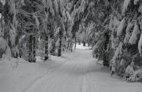 Pochebachhäusl - Foto 14