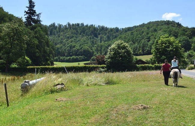 Sonnige Ferienwohnung in Huddingen in Waldnahe - Foto 33