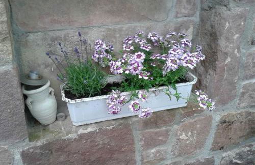 Galerie Ueber den Gaerten - Foto 19