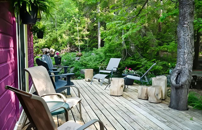 Cozy Cabin in the Forest - Foto 24