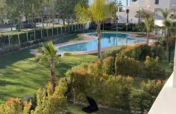 Apartamento en Costa Ballena - Foto 3