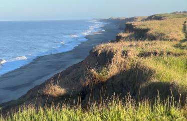 Deer View Cabin - Woodland, beaches and Hot tub - Foto 7