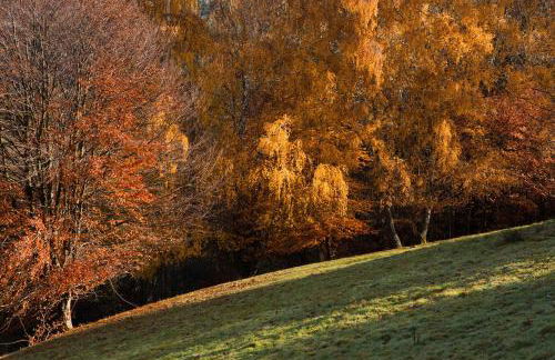 Gîte du Pré au Miel en plein coeur de l'Alsace - Foto 27