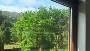 Twin Deer Lodge - Foto 3, Garden view