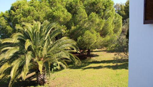 Aspro Spiti 2 - Foto 5, Garden view