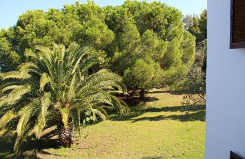 Aspro Spiti 2 - Foto 5