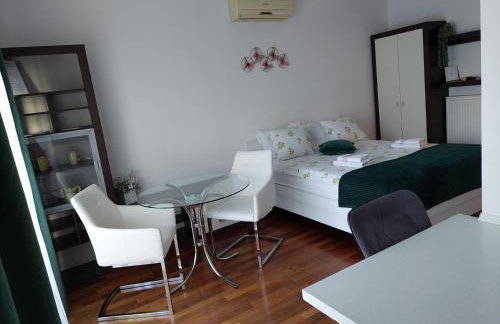Apartman Zelena Oaza - parking free - Photo 5