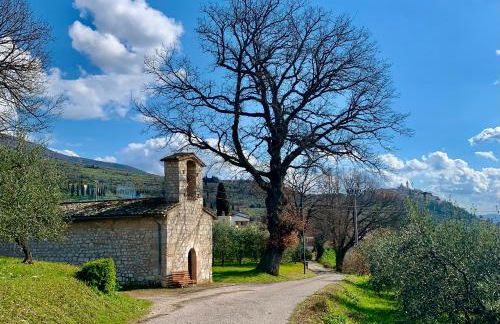 Il Giardino dell'Abate di Collepino - Spello - Foto 71