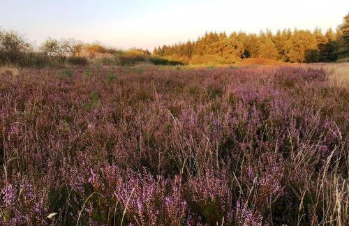 Fachwerk-Treppenspeicher, Ruhe auf dem Land, Haustiere willkommen, Leihfahrräder, 24-7 check in - Foto 55