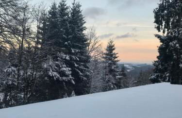 Deluxe Ferienwohnung Winterberg mit private Sauna - Foto 58