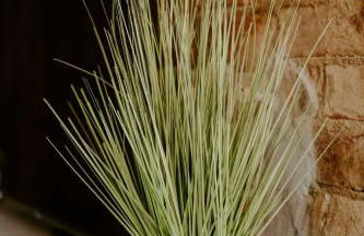 Stunning 4BR Townhome Rooftop City Views - Foto 56