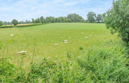 The Mill Lodge - Photo 12