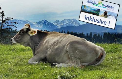 Urheim Rose - Dogfriendly - Foto 22