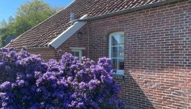 Ferienhaus Norderwieke - Foto 3, Garden