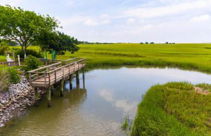 NEW LISTING! Centrally Located with Pool and Beach Views - Foto 24