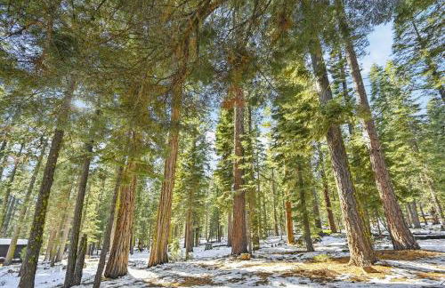 Cobalt Cabin by Tahoe Getaways - Beautifully Remodeled Pet Friendly 3 BR with Hot Tub & EV - Foto 25