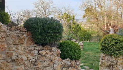 Le Coq De Champagne - Photo 5