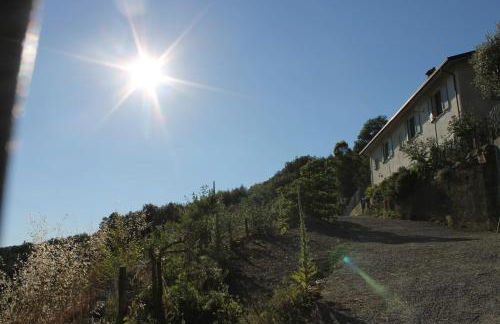 Collina di Sopra - Foto 24