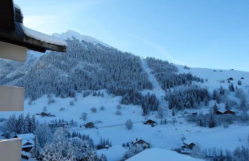 Appartement cosy, pied de piste, cheminée, animaux admis - FR-1-304-153 - Foto 12