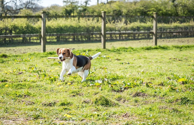 Primrose - 1 Bedroom Cottage - Llanteg - Foto 30