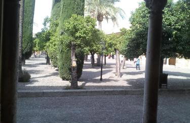 Lineros 24 - Foto 19
