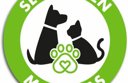 Casa Carmen - Foto 31