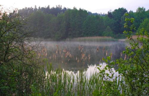 Haus am Gardersee mit Garten - Foto 52