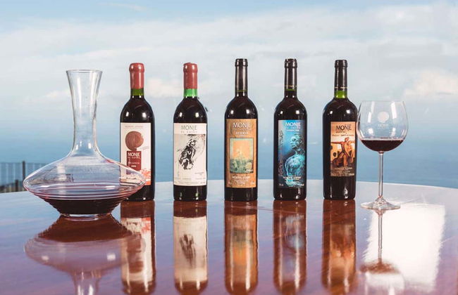 Visita a las bodegas Monje - Foto 3