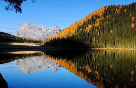 CASA BERNARD Zortea VANOI cuore verde del Trentino - Foto 35