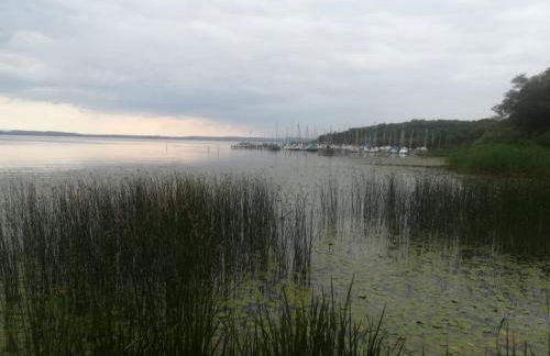 Ferienwohnung direkt am Steinhuder Meer - Foto 48