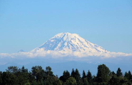 Vibrant City Gem/99 Walk/Pike Pl/Pool/Pet/Parking - Foto 66