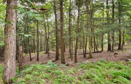 Fully Remodeled Saugerties Retreat on 7 Acres! - Foto 24