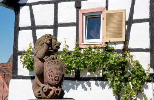 Burggarten Appartements Neuleiningen - Foto 55