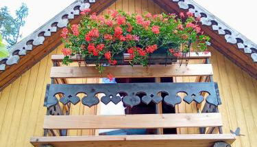 Il nido (Cica) - Foto 3